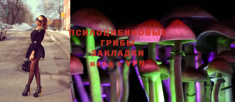 Псилоцибиновые грибы Magic Shrooms  закладка  Ужур 